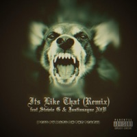 Its Like That (feat. Stewie G & Justinsayne N8V) [Remix] [Remix] - Single - Lil Jim