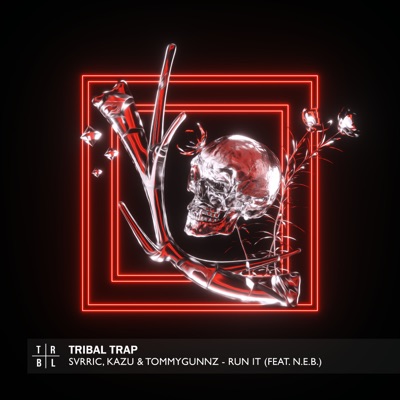 RUN IT (feat. N.E.B.) - Single