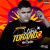 Putaria Torando - Single