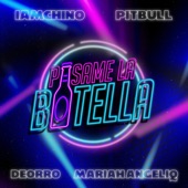 Pasame La Botella (feat. Mariah Angeliq) artwork