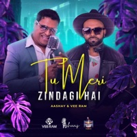 Tu Meri Zindagi Hai X Pepas (feat. Vee Ram) - Single - Ashaay Manoo