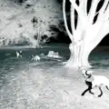 Maybe
