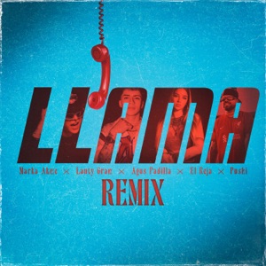 Llama (feat. El Reja & Pushi) [Remix]