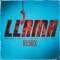 Llama (feat. El Reja & Pushi) [Remix] artwork
