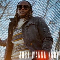 Just Wanna Know - Single - Destiny Manifest