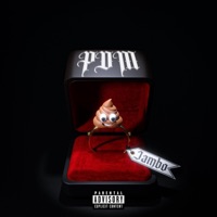 P.D.M - Single - Lil Jambo