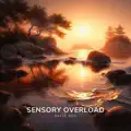 Sensory Overload