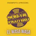 El Wasa Wasa