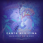 Canta Medicina artwork