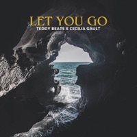 Let You Go (feat. Cecilia Gault) - Single - Teddy Beats
