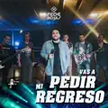 Vas a Pedir Mi Regreso