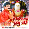 Hey Vishwanath Prabhu Mere - Single