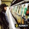 D.M.W. - Junky Zice lyrics