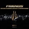 Friends (feat. Cheque Lowkks & Hiphopkarma) - Single