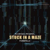 Stuck In A Maze artwork