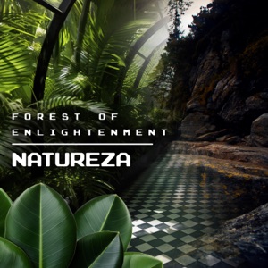 Forest of Enlightenment