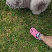 Ily - Single - Nomark