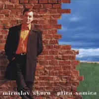 Ptica samica