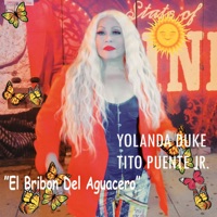 El Bribon del Aguacero (Radio Edit) [feat. Tito Puente, Jr.] - Single - Yolanda Duke