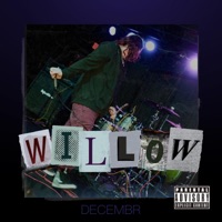 Willow - Single - Decembr