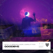 Goodbye (Extended Version) artwork