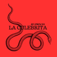 La Culebrita - Single - Jey Princee