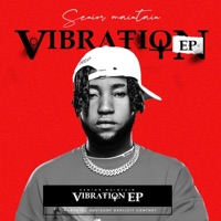 Vibration EP - EP - Senior Maintain
