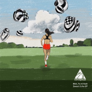 Sweet Echo - Single
