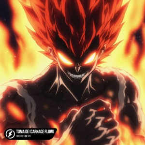 TOMA DE (Carnage Flow)
