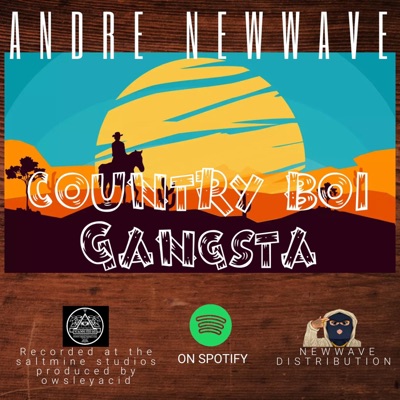 Country Boi Gangsta (Radio Edit) - Single
