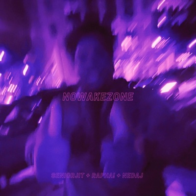 NOWAKEZONE (feat. Rapha! & Nedaj) - Single
