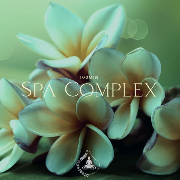 100Min Spa Complex: Relaxing Zen Music with Water Sounds (Ocean Waves, River, Rain, Fire)