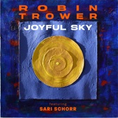 Joyful Sky (feat. Sari Schorr) artwork