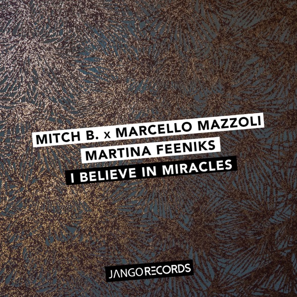 I Believe in Miracles - Single