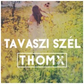 Tavaszi szél (Extended mix) artwork