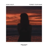 Forget Your Name - Single - Adam Veldt