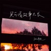 只可惜故事太长 - Single