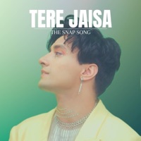 Tere Jaisa - The Snap Song (feat. AOORA & Nitanshi Goel) - Single - Aksh Baghla