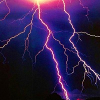 Solfare ♕ - Single - $tenykis