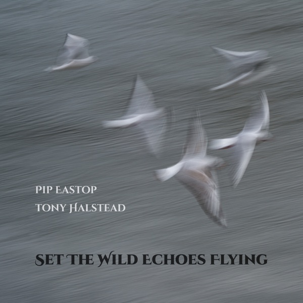 Set the Wild Echoes Flying