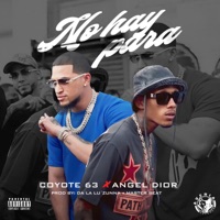 No Hay Para - Single - Coyote 63 & ANGEL DIOR
