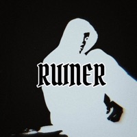 Ruiner - Single - SXT
