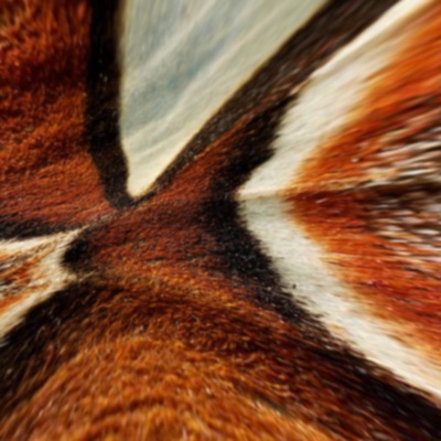 Time and Space - Single