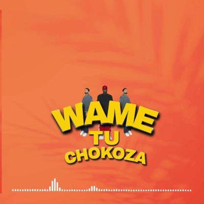 Wametuchokoza (feat. Rocky Nation, Special Boy Og & Avriih Simba) - Single