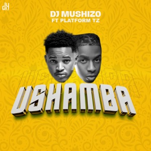 Ushamba (feat. Platform)