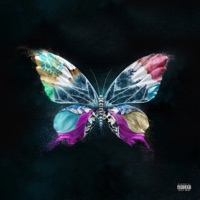 Changes - Single - Mr Traumatik & NamaShaiYoga