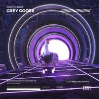 Grey Goose - Single - Geeyo Ibra