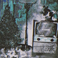 Phencyclidine - Single - Staggy