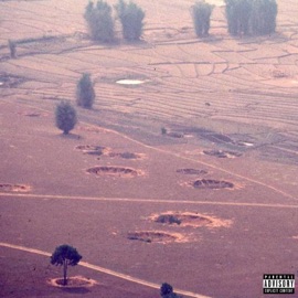 Enter Bomb Field II Maxly