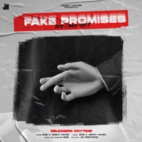 Fake Promises - Single - bob & Jimmy Hayer